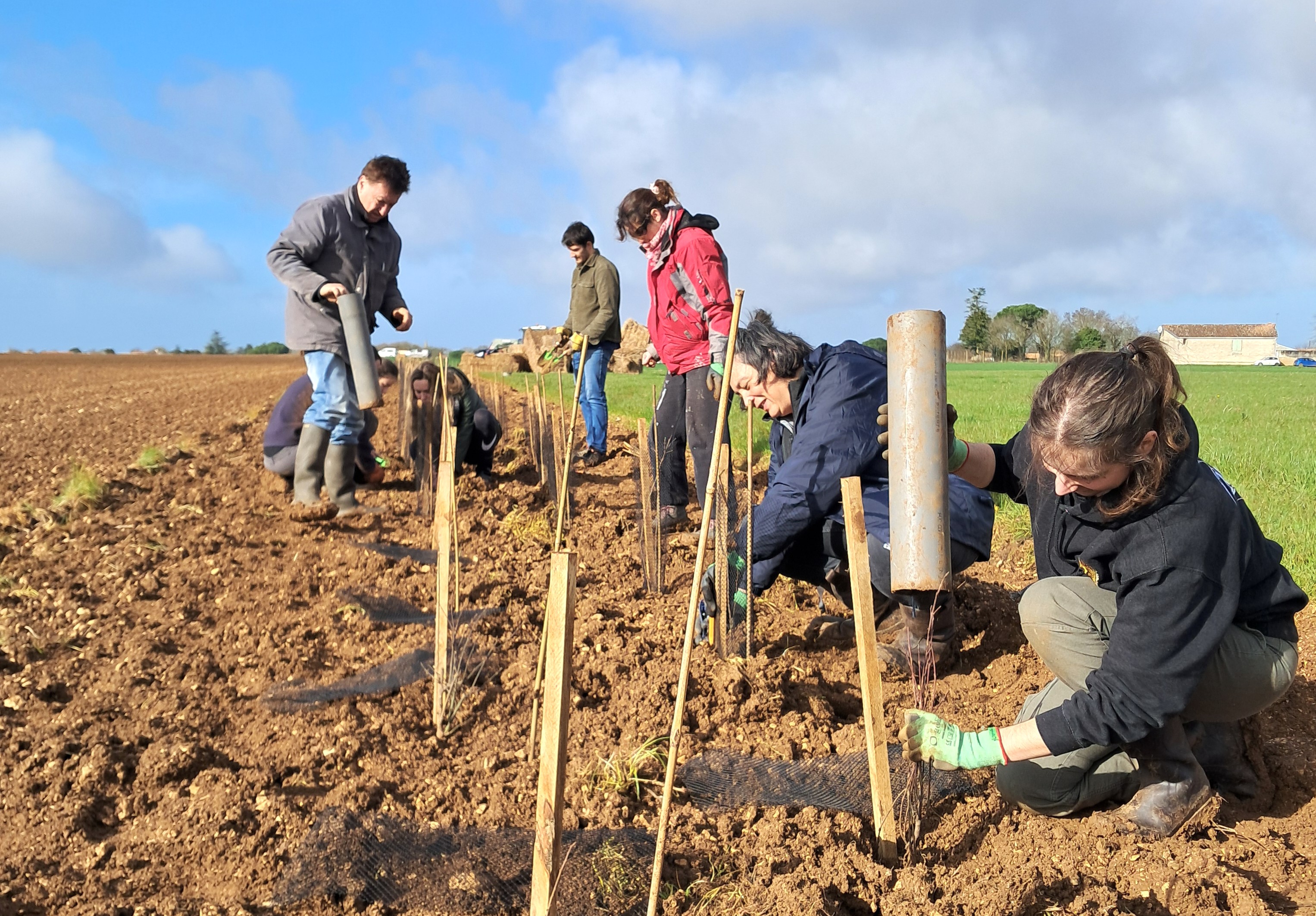 Chantier plantation de haie